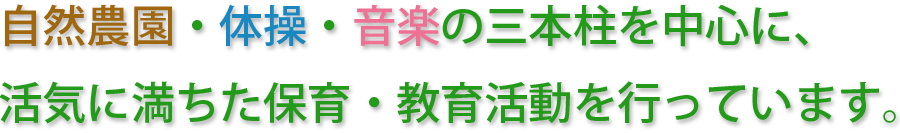 自然農園・体操・音楽の三本柱を中心に、活気に満ちた保育・教育活動を行っています。