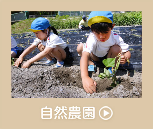 自然農園